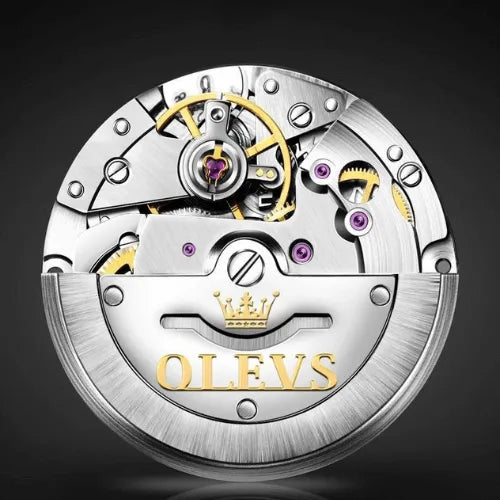 Mechanical silver gold watch with luminous display and day-date calendar.