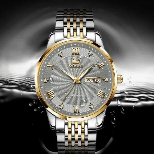 Luxury men’s automatic watch with silver dial, gold accents and waterproof stainless steel case.